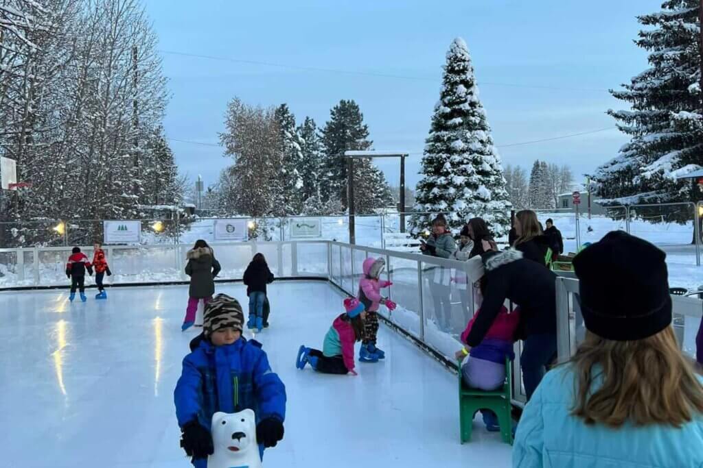 Ice Rink at Chester Park Fund